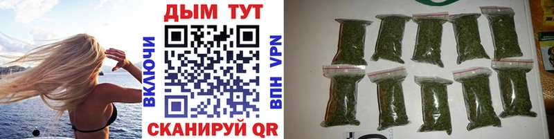 что такое Старица KRAKEN вход МАРИХУАНА OG Kush